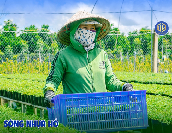 Sóng nhựa hở-ứng dụng