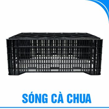 Sóng cà chua-2