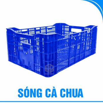 Sóng cà chua -dương