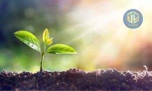 Môi trường đất