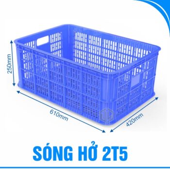 sóng hở 2t5 dương