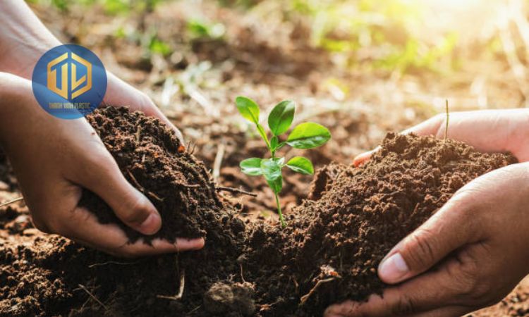 Tham gia các hoạt động trồng cây xanh