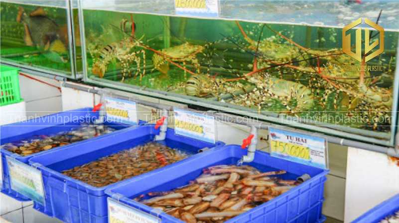 thùng nhự 4t5 trong lưu trữ hải sản tươi sống