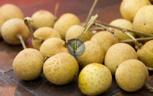 cach bao quan nhan tuoi lau 2