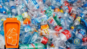 rac-vo-co-la-gi-cach-nhan-biet-chat-thai-vo-co