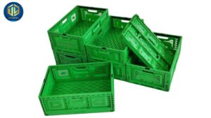 ro-nhua-dung-trai-cay-3