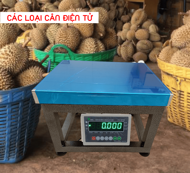 Cân sầu riêng