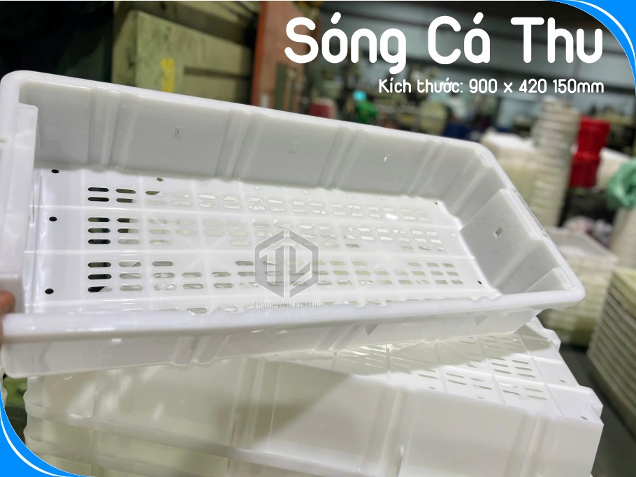 Sóng cá thu giá rẻ