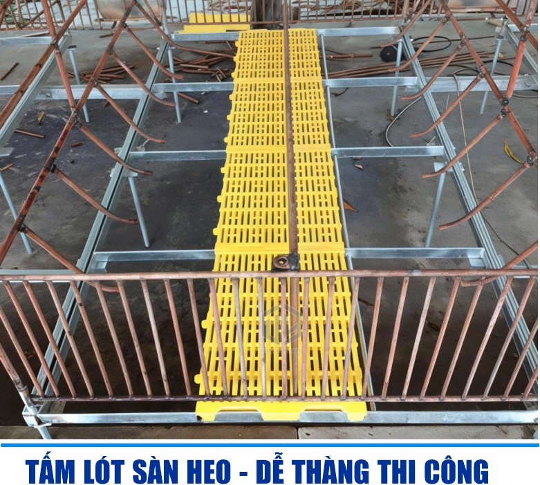 Thi công, lắp đặt tấm lót sàn chuồng heo