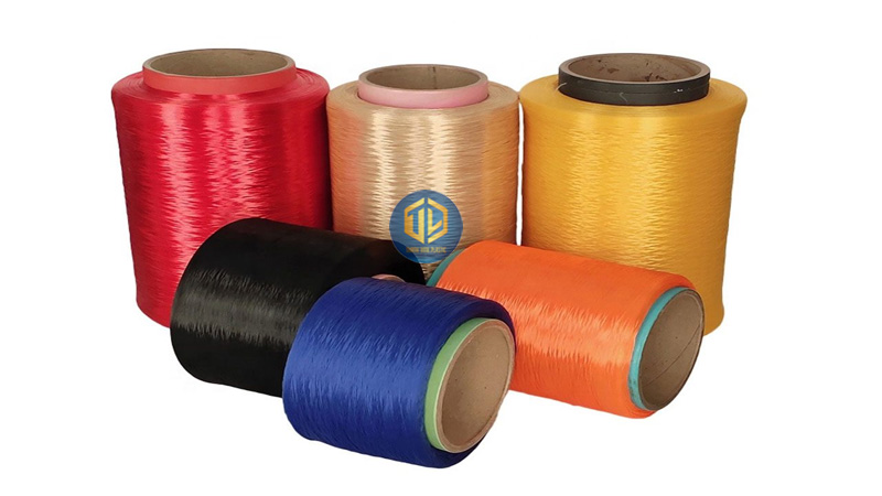 tam-nhua-pp-3