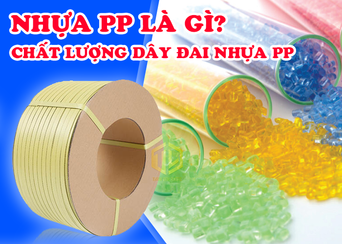 Dây đai nhựa PP là gì