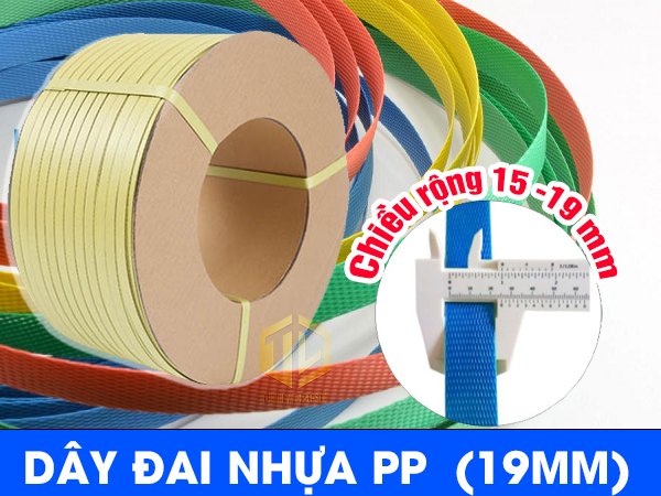 Dây đại nhựa pp 19mm