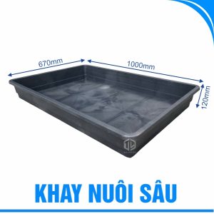 Khay nuôi sâu