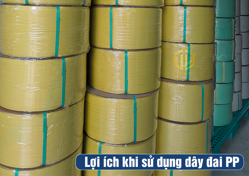 Lợi ích khi sử dụng dây đai PP