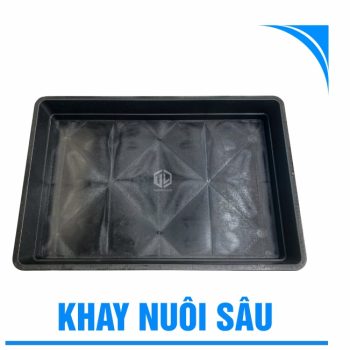 khay nuôi sâu