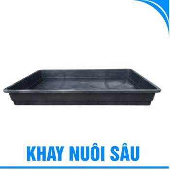 khay nuôi sâu