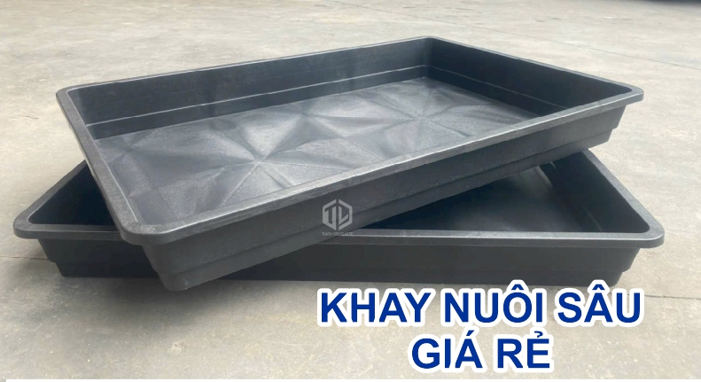 Khay nuôi sâu giá rẻ