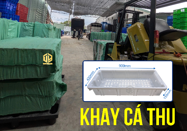 Công Ty Sản Xuất Khay Cá Thu Giá Rẻ