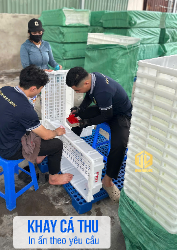 Khay cá thu - in tên theo yêu cầu