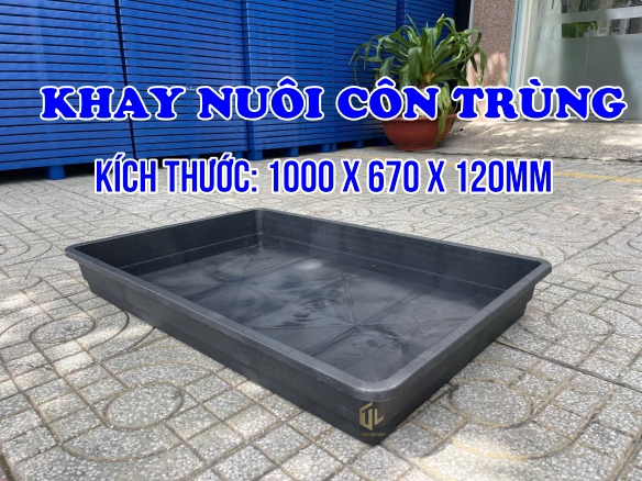 Khay nuôi côn trùng