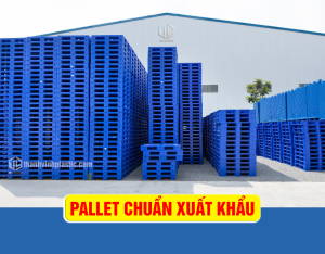 Pallet nhựa xuất khẩu