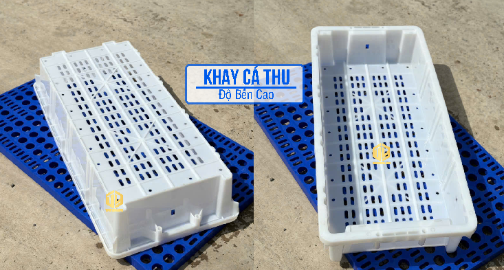 Ưu điểm vượt trội của khay cá thu