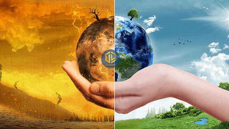 Tại sao phải phân loại rác thải? Lợi ích của việc phân loại rác tại nguồn