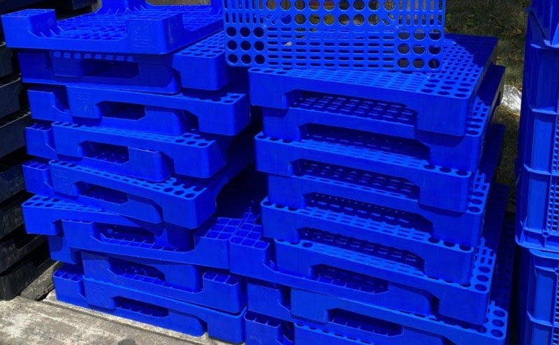 TOP 5 đơn vị bán, thu mua pallet nhựa cũ thanh lý uy tín tại Tp.HCM