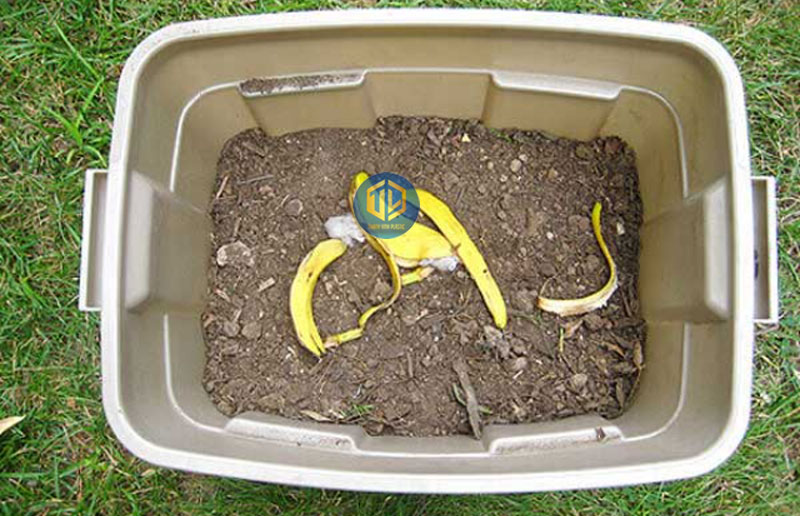 Hướng dẫn cách tự làm thùng ủ rác hữu cơ tại nhà