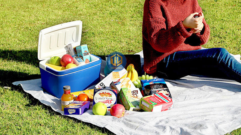 TOP 7 mẫu thùng đá nhỏ gọn, tiện dụng và chất lượng nhất hiện nay