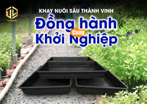 Báo giá khay nuôi sâu thành vinh