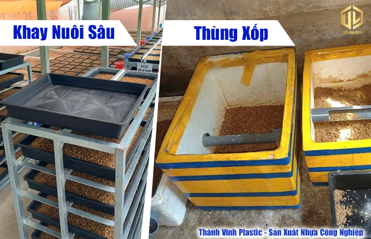 Khay nuôi sâu canxi