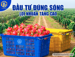 sóng thanh long thanh vinh