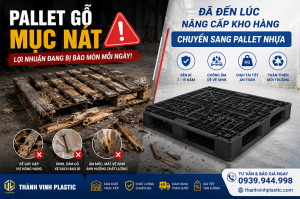 Pallet Nhựa Là Gì? Bảng So Sánh và 5 Thời Điểm Vàng Bắt Buộc Thay Thế Pallet Gỗ