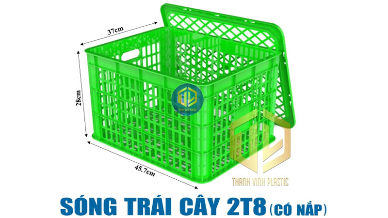 song trai cay 2t8