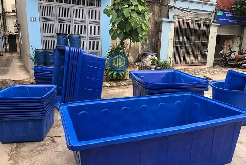 Kỹ thuật nuôi cá trong thùng nhựa: Hướng dẫn từ A-Z