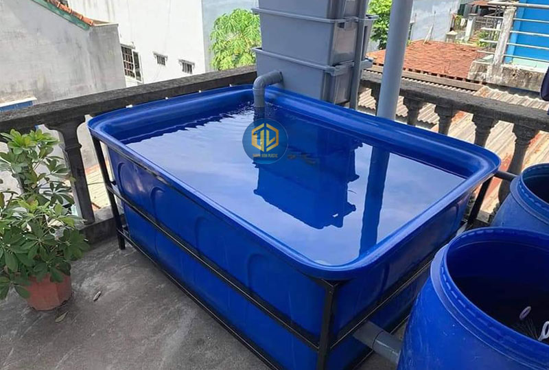 Kỹ thuật nuôi cá trong thùng nhựa: Hướng dẫn từ A-Z