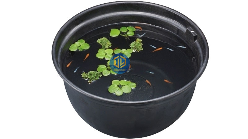 Nên chọn thùng nhựa màu trắng, đen hay trong suốt để nuôi cá?