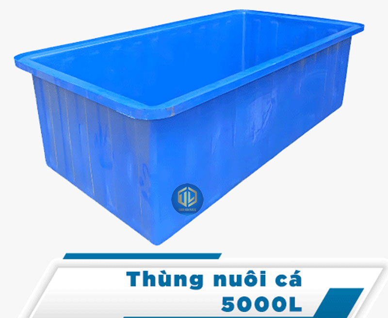 Thùng nhựa nuôi cá là gì? Cách chọn dung tích phù hợp từ 100L - 5000L