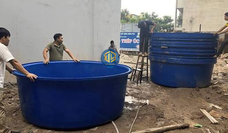 Thùng nhựa nuôi lươn và thủy sản: chọn dung tích bao nhiêu?