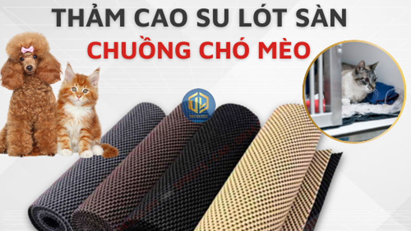 Tấm cao su lót sàn cho chó