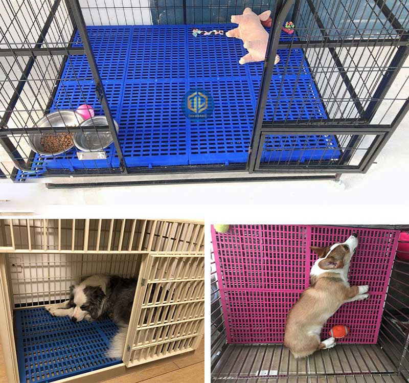 Tấm nhựa lót sàn chuồng chó.