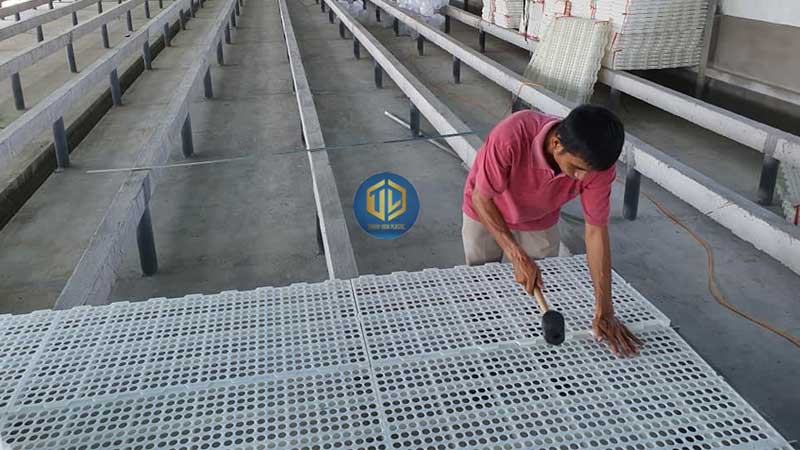 Lắp ghép tấm nhựa lót sàn.