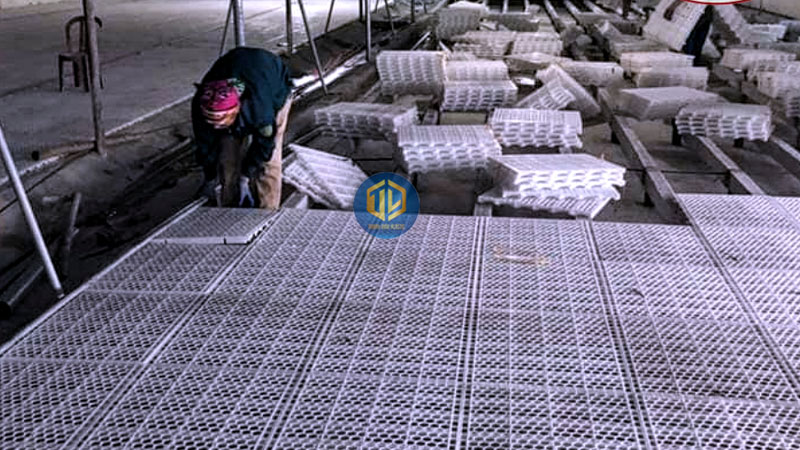 Hướng dẫn lắp đặt tấm nhựa lót sàn cho gà