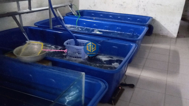 Cách chọn thùng nhựa đựng nước 1000L phù hợp.