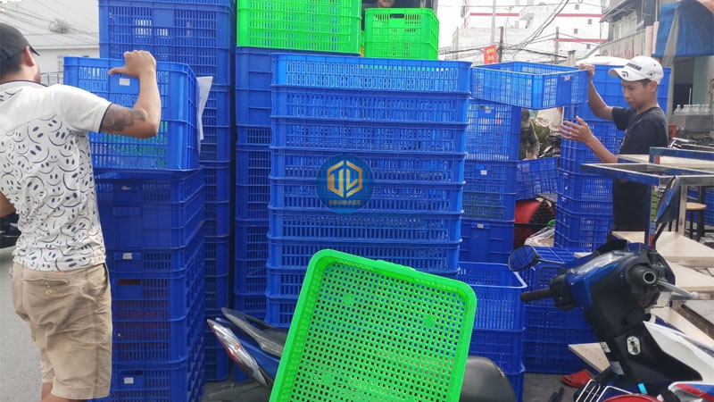 Kiểm tra thân sọt, đáy sọt và quai cầm